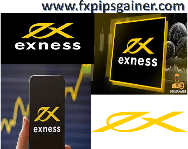 Exness Web Trading Your Gateway to Online Forex Trading