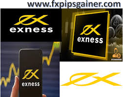 Exploring the Exness FX Broker A Comprehensive Guide