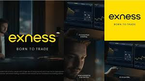 Exploring the Exness Web Platform A Comprehensive Guide